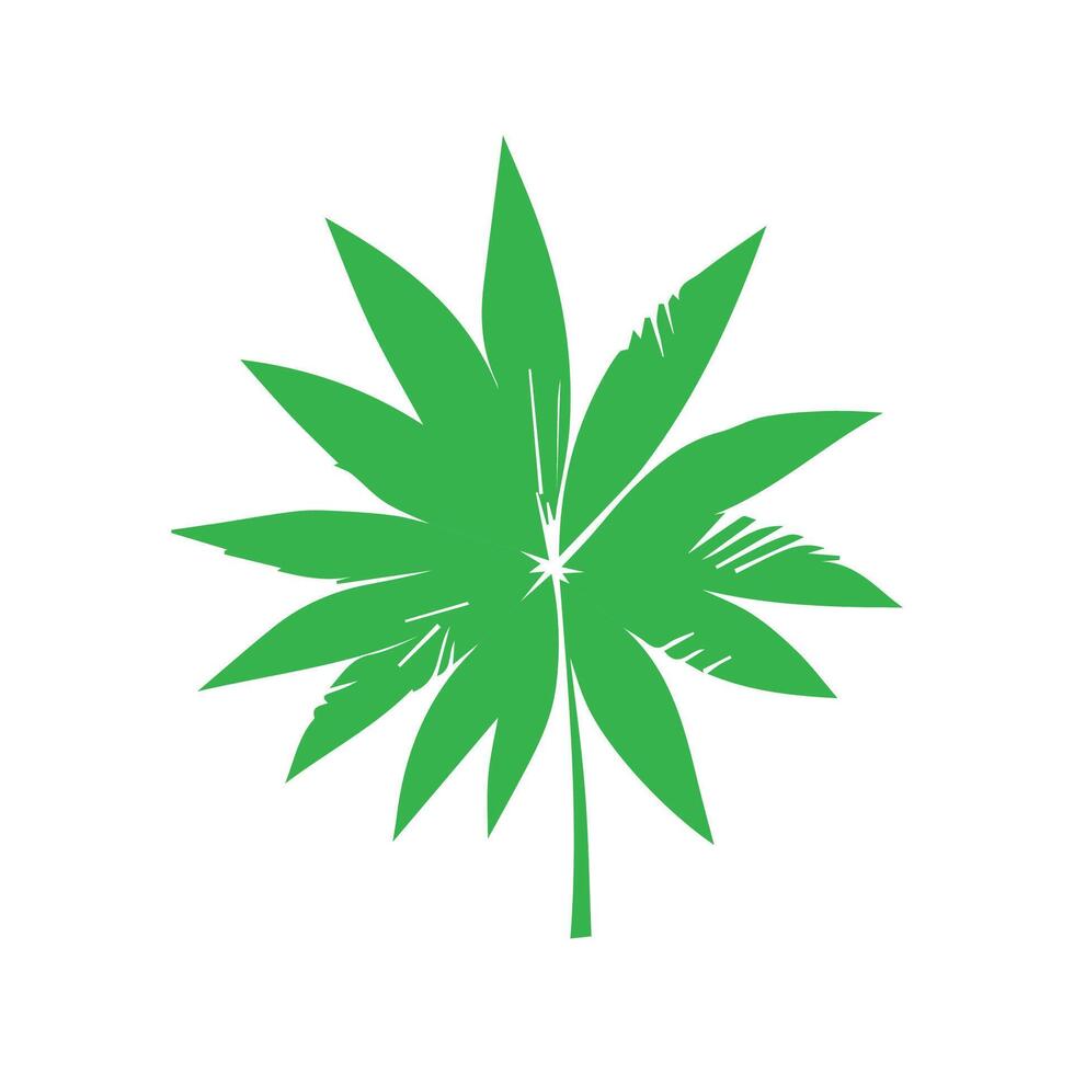 Green leaf icon. Leaves icon on isolated background. Collection green leaf. Elements design for natural, eco, vegan, bio labels vector