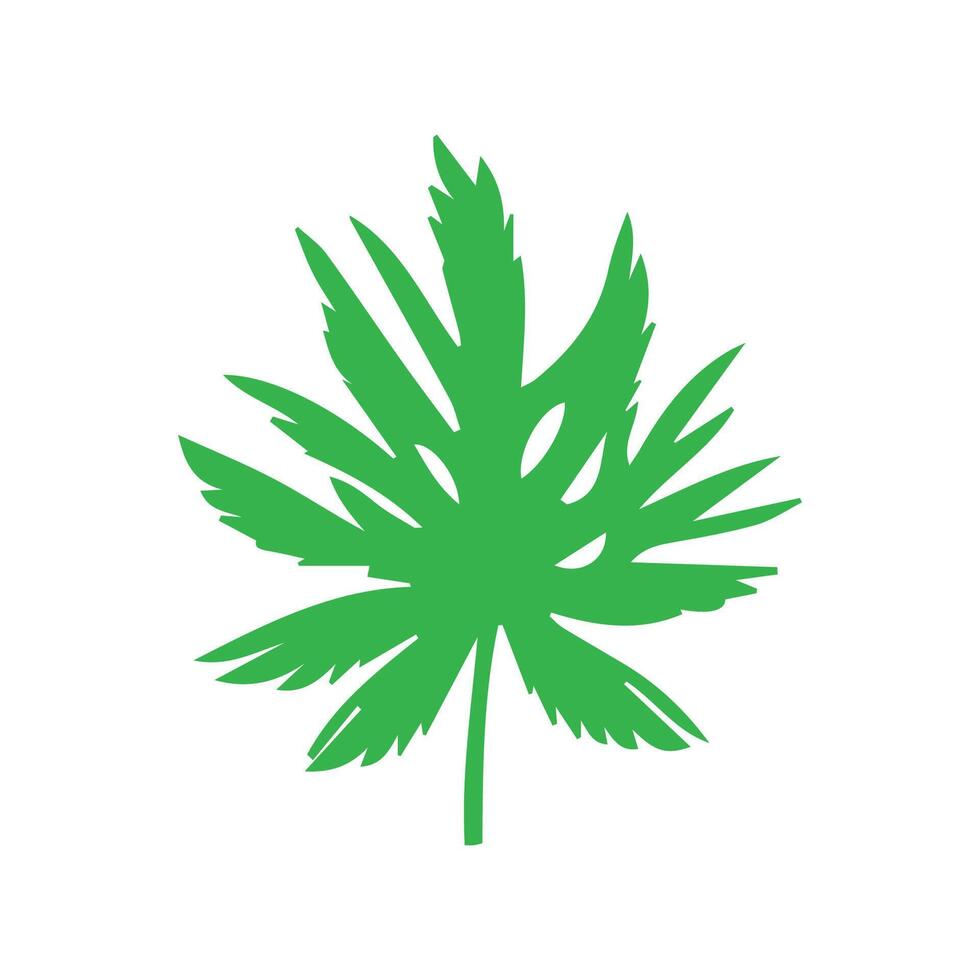 Green leaf icon. Leaves icon on isolated background. Collection green leaf. Elements design for natural, eco, vegan, bio labels vector