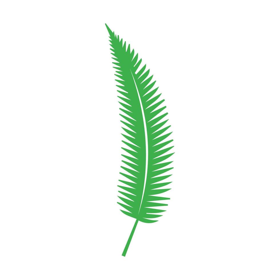 Green leaf. Leaves icon on isolated background. Collection green leaf. Elements design for natural, eco, vegan, bio labels vector