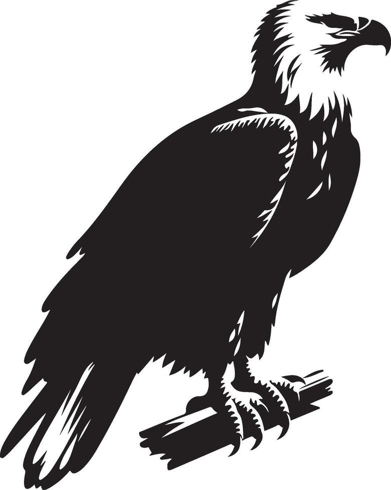 Black and White Eagle illustration vector