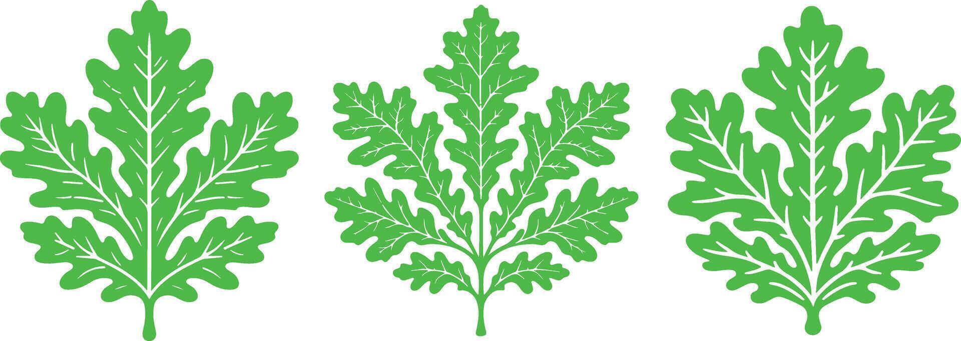 Green oak leaf illustration on white background eps 10 vector