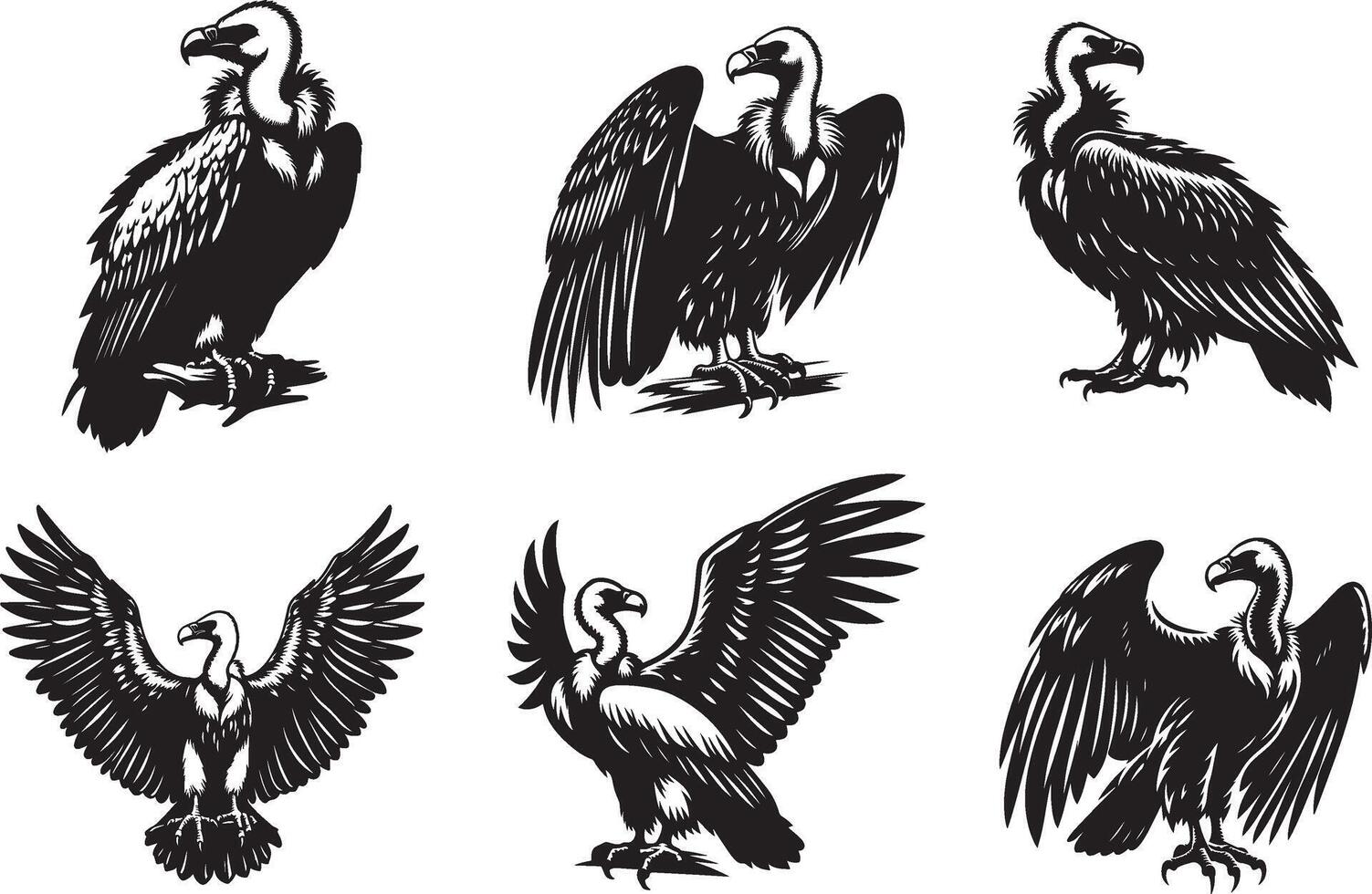 Condor silhouette eps 10, white background vector