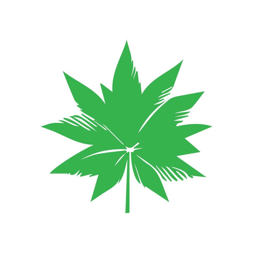Green leaf icon. Leaves icon on isolated background. Collection green leaf. Elements design for natural, eco, vegan, bio labels vector