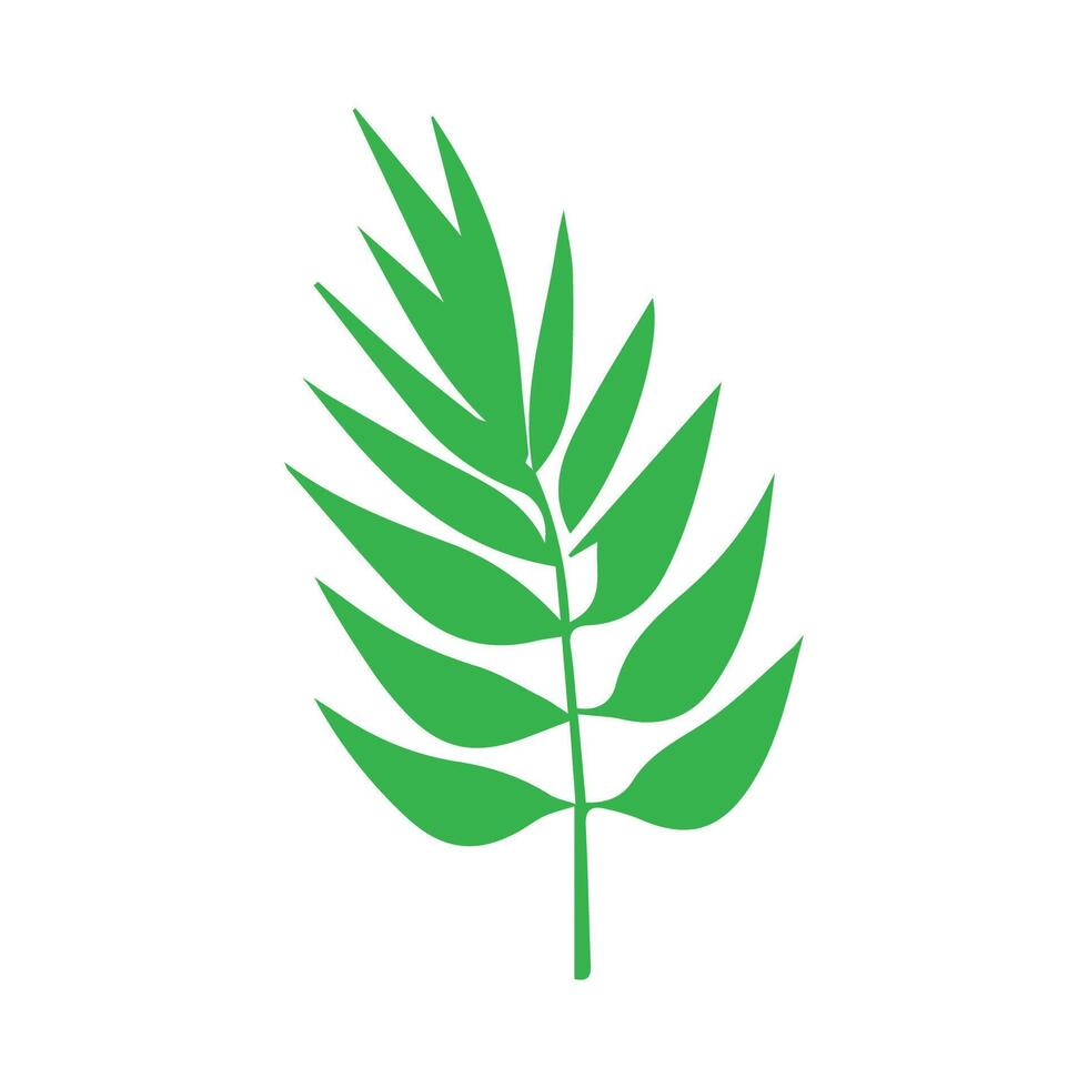 Green leaf icon. Leaves icon on isolated background. Collection green leaf. Elements design for natural, eco, vegan, bio labels vector