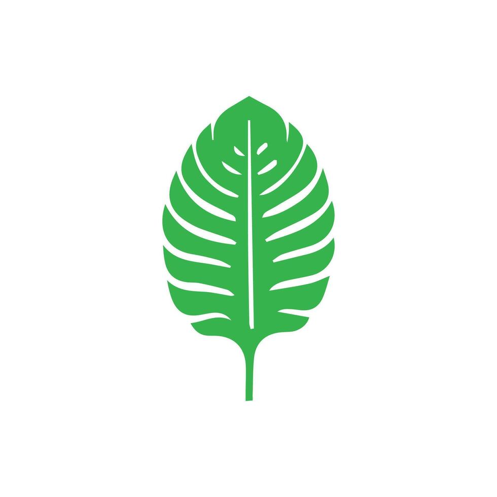 Green leaf icon. Leaves icon on isolated background. Collection green leaf. Elements design for natural, eco, vegan, bio labels vector