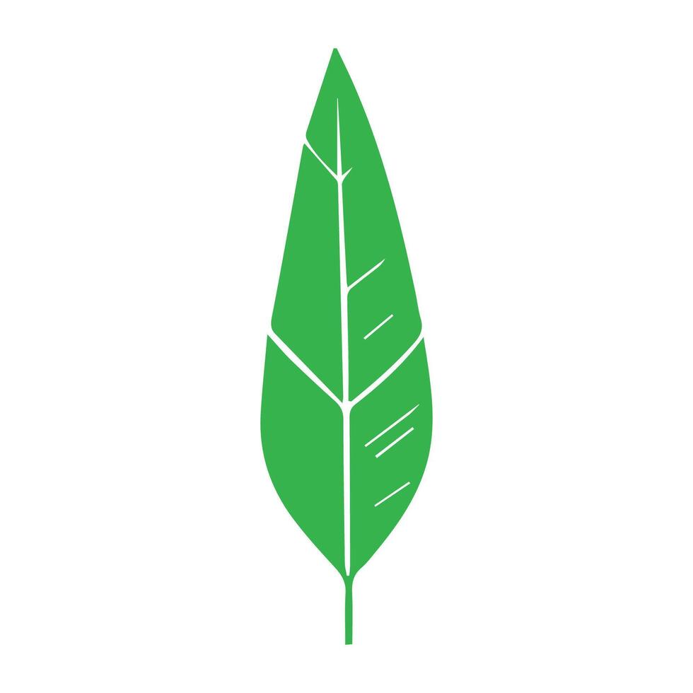 Green leaf icon. Leaves icon on isolated background. Collection green leaf. Elements design for natural, eco, vegan, bio labels vector