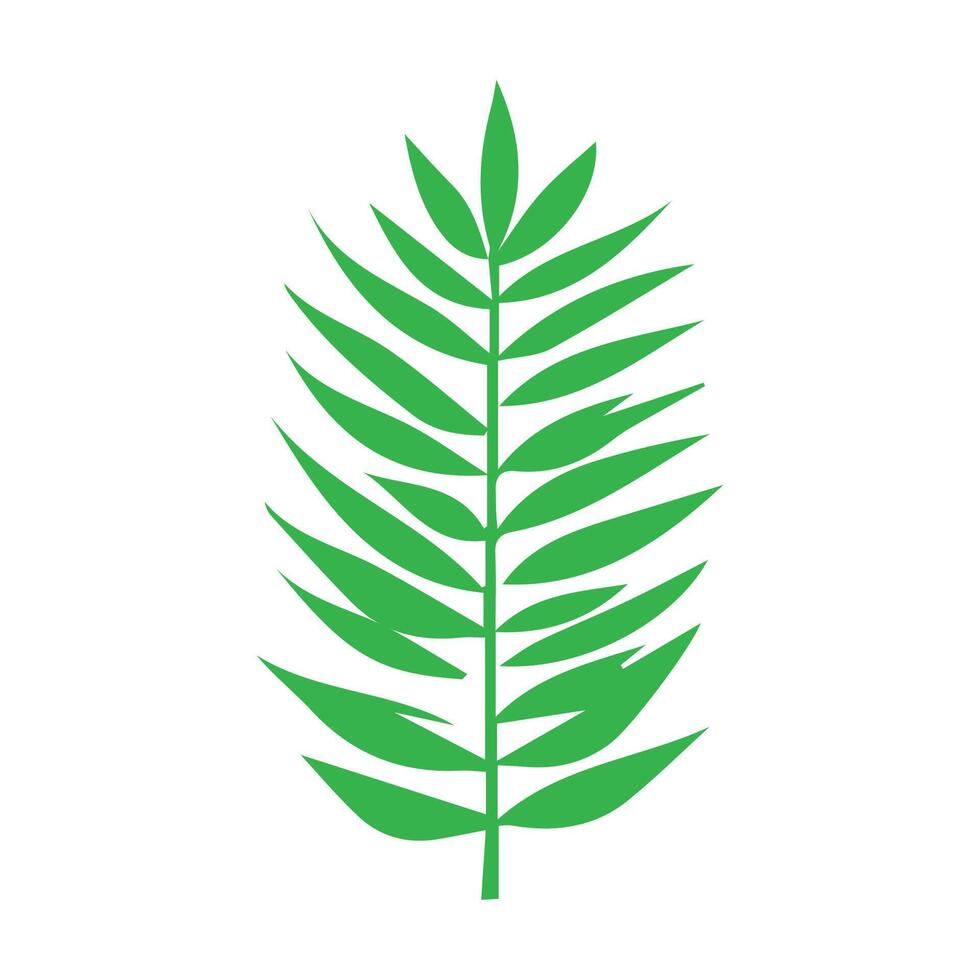 Green leaf icon. Leaves icon on isolated background. Collection green leaf. Elements design for natural, eco, vegan, bio labels vector