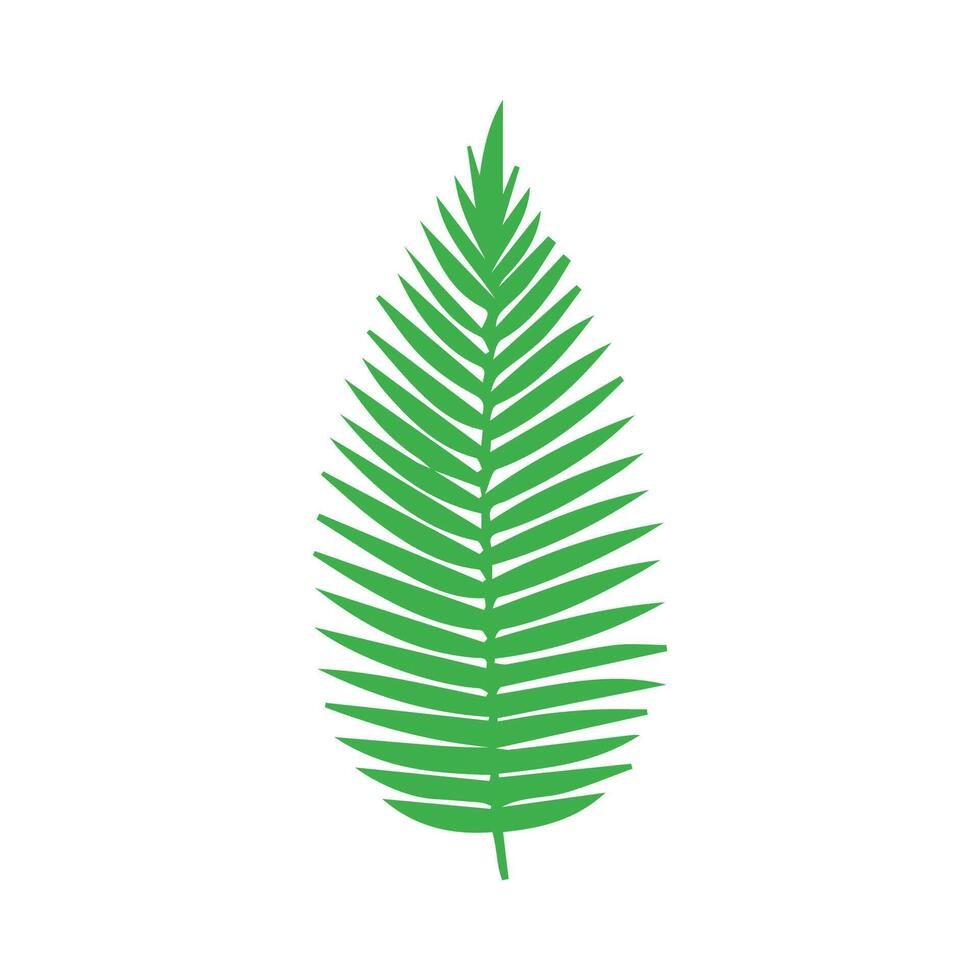 Green leaf. Leaves icon on isolated background. Collection green leaf. Elements design for natural, eco, vegan, bio labels vector
