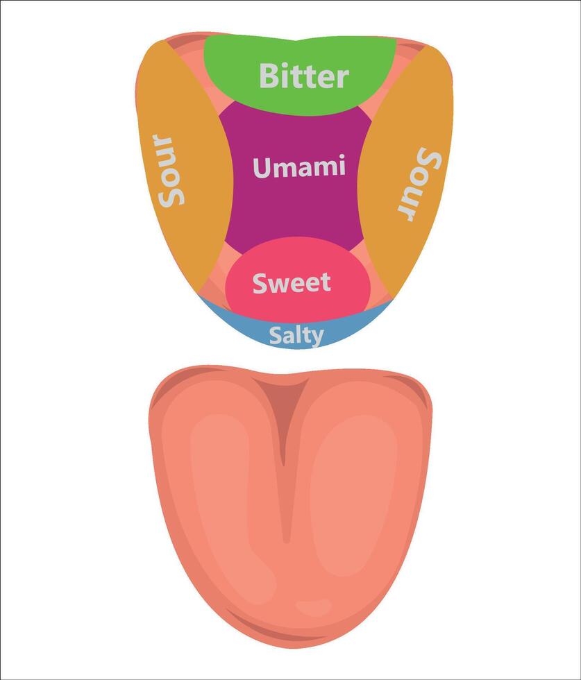 Arm, leg, tongue, mouth, nose, hand, human body parts illustration vector