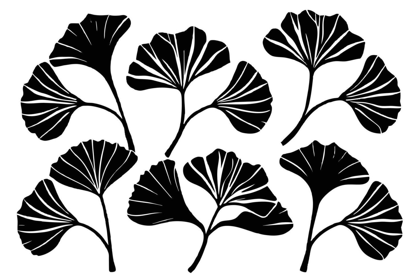 Drawing of ginkgo biloba plant Black silhouette vector
