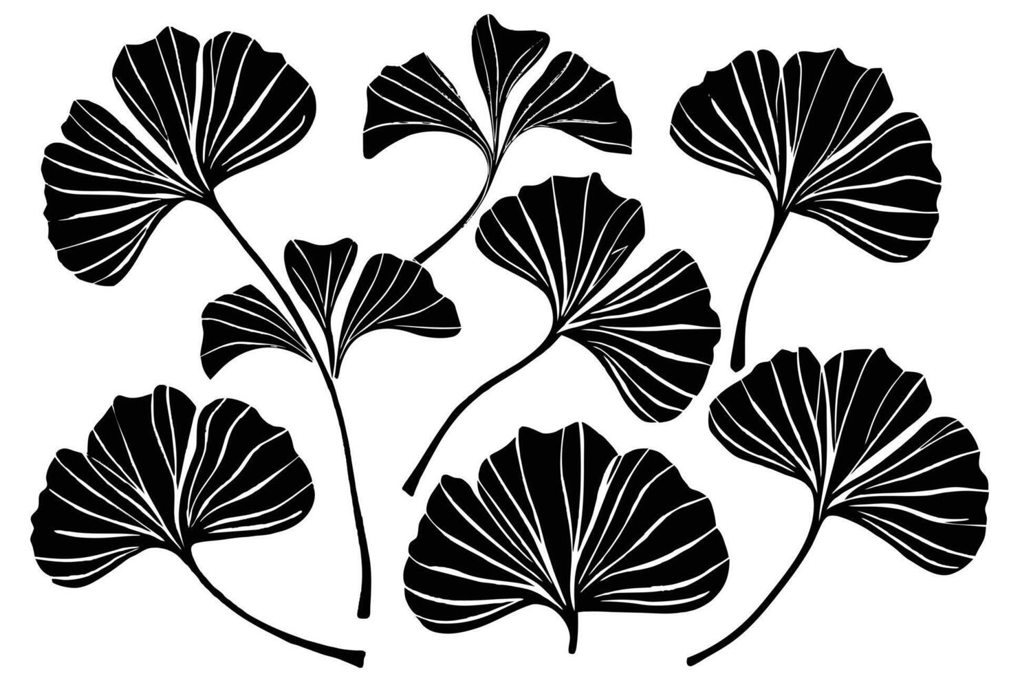 Drawing of ginkgo biloba plant Black silhouette vector