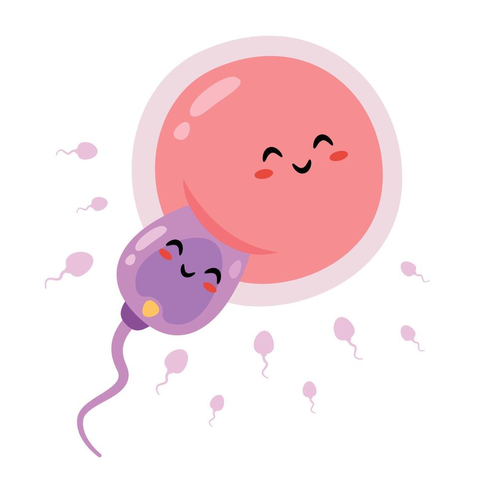 Cartoon Sperm And Ovum Characters vector