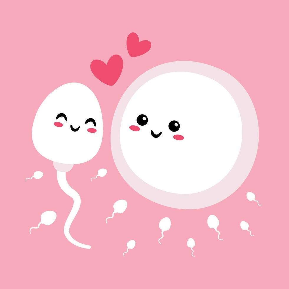Cartoon Sperm And Ovum Characters vector
