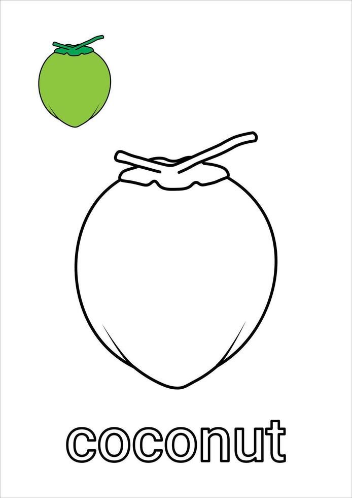 Coconut Coloring Page for Kids vector