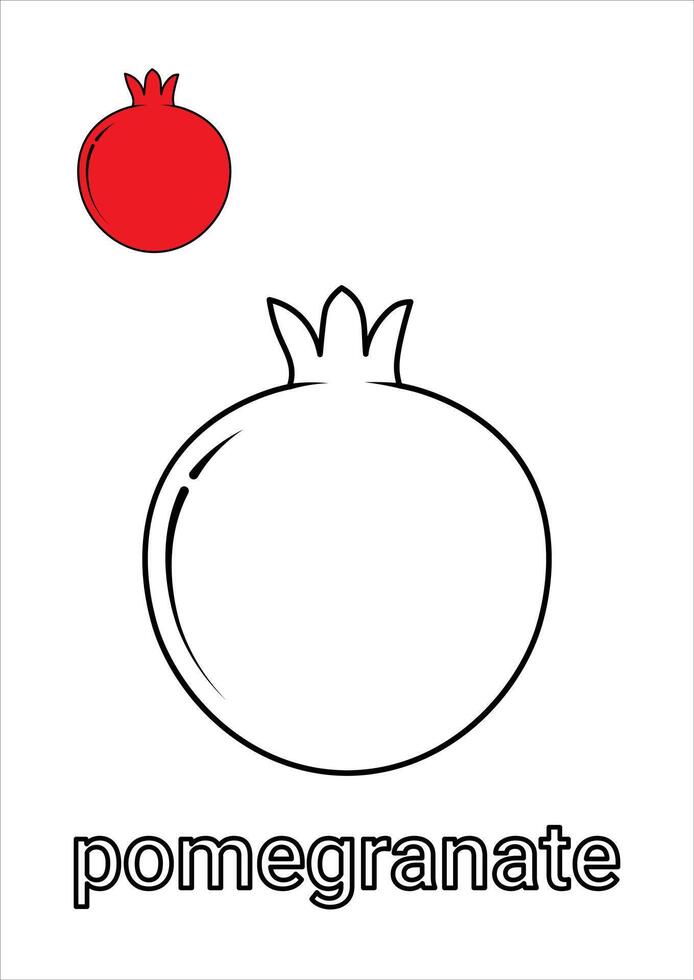Pomegranate Coloring Page for Kids vector