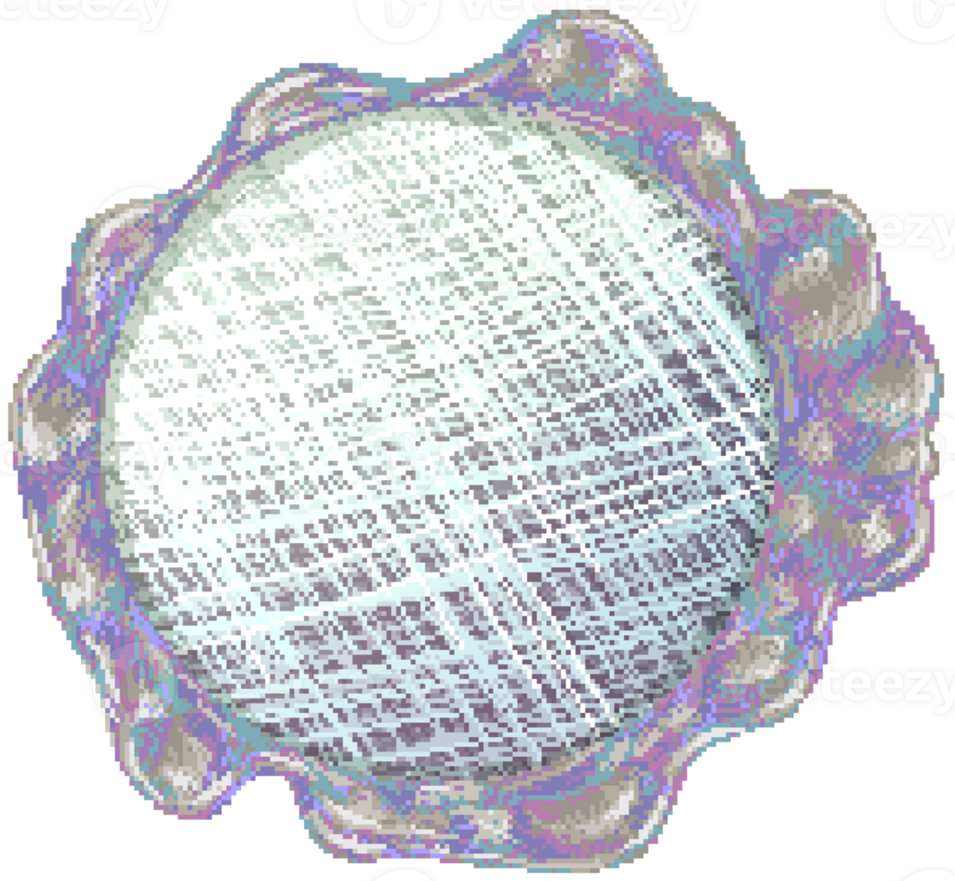 Witch's Magical mirror png
