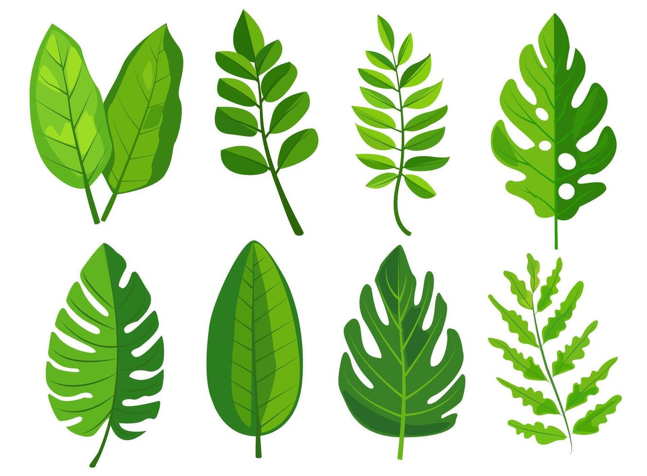 features eight different types of green leaves, each with distinct shapes and vein patterns. diverse foliage showcases various botanical designs, ideal for nature-related graphics and design projects vector
