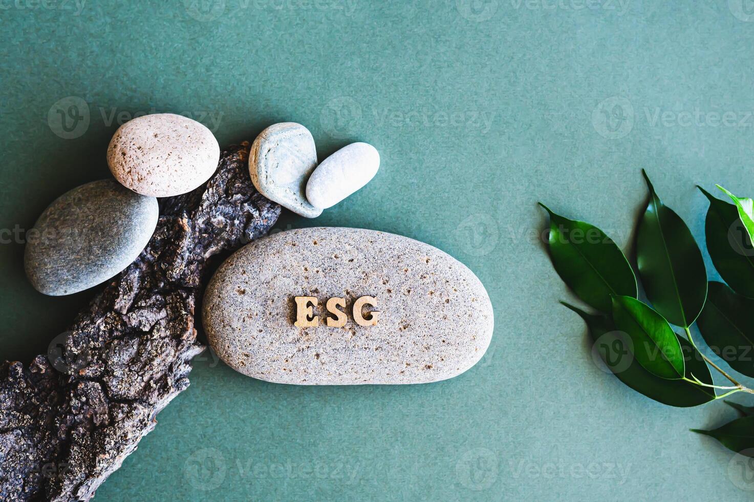 ESG concept wooden letters on stone, branch with leaves and tree bark on green top view photo