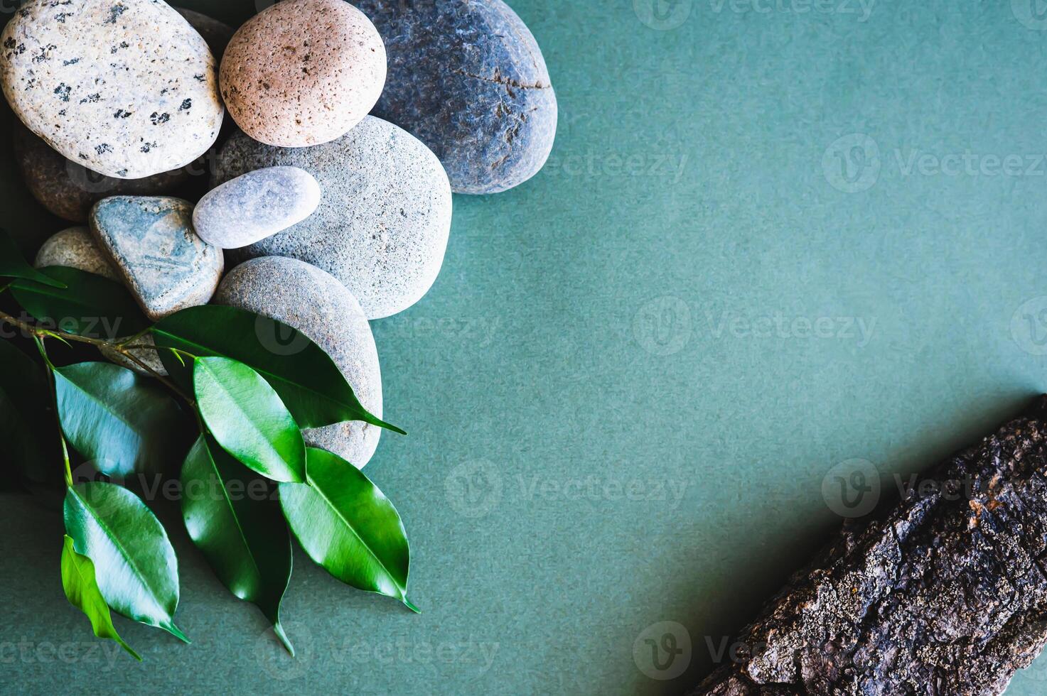 Organic natural background of leaves, tree bark and stones on green top view photo
