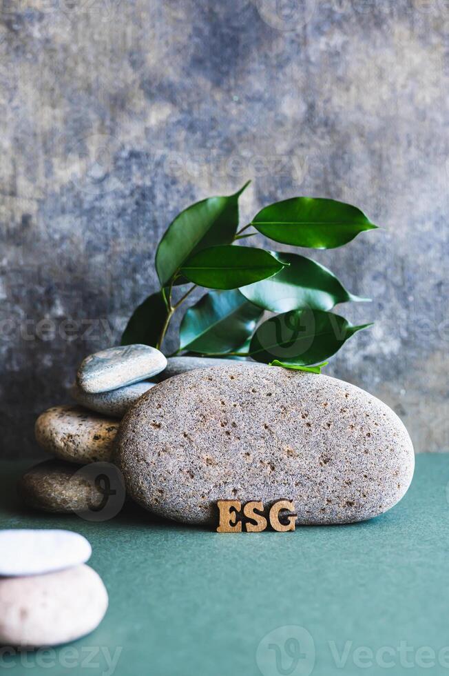 ESG concept wooden letters near a stone and branches with leaves on a green vertical view photo