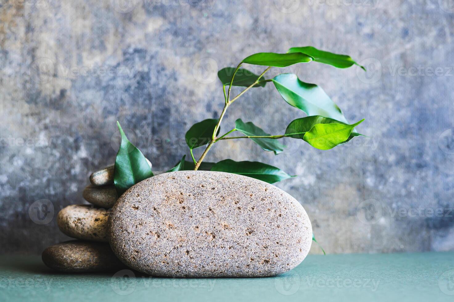 Organic natural background from branches with leaves and stones on green photo