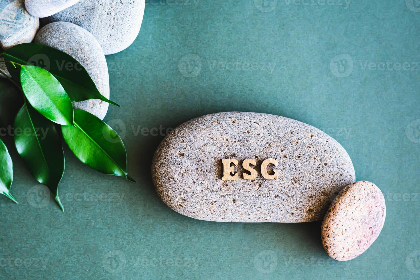 ESG concept wooden letters, stones and leaves on a green background top view photo