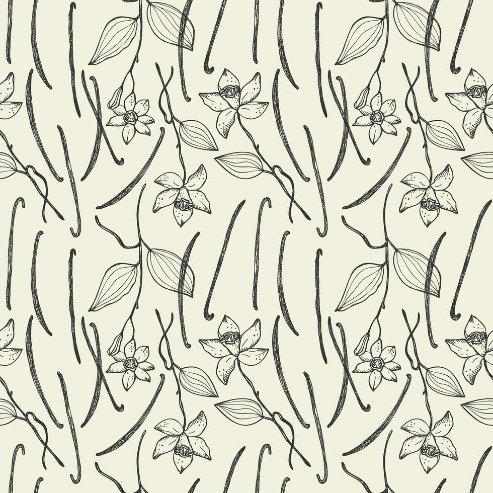 Vanilla plant with sticks flower repeating background. Hand drawn seamless pattern with vanilla branch, leaf. Design for template, label, card, textile, wrapping, banner. Engraved food illustration vector