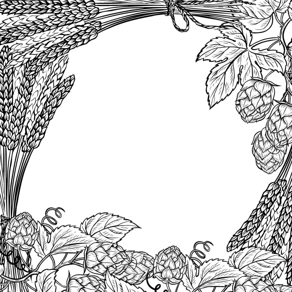 Border frame with barley, grain malt, hops. Ingredients for brewing. An illustration with black and white graphics. For the design of labels, packages, poster about beer production, oktoberfest vector