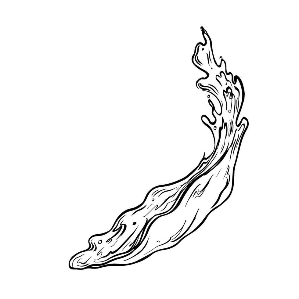 A splash of liquid water or a drink. black and white hand-drawn graphics on a white background. Design element for labels, menus, packages and posters. vector