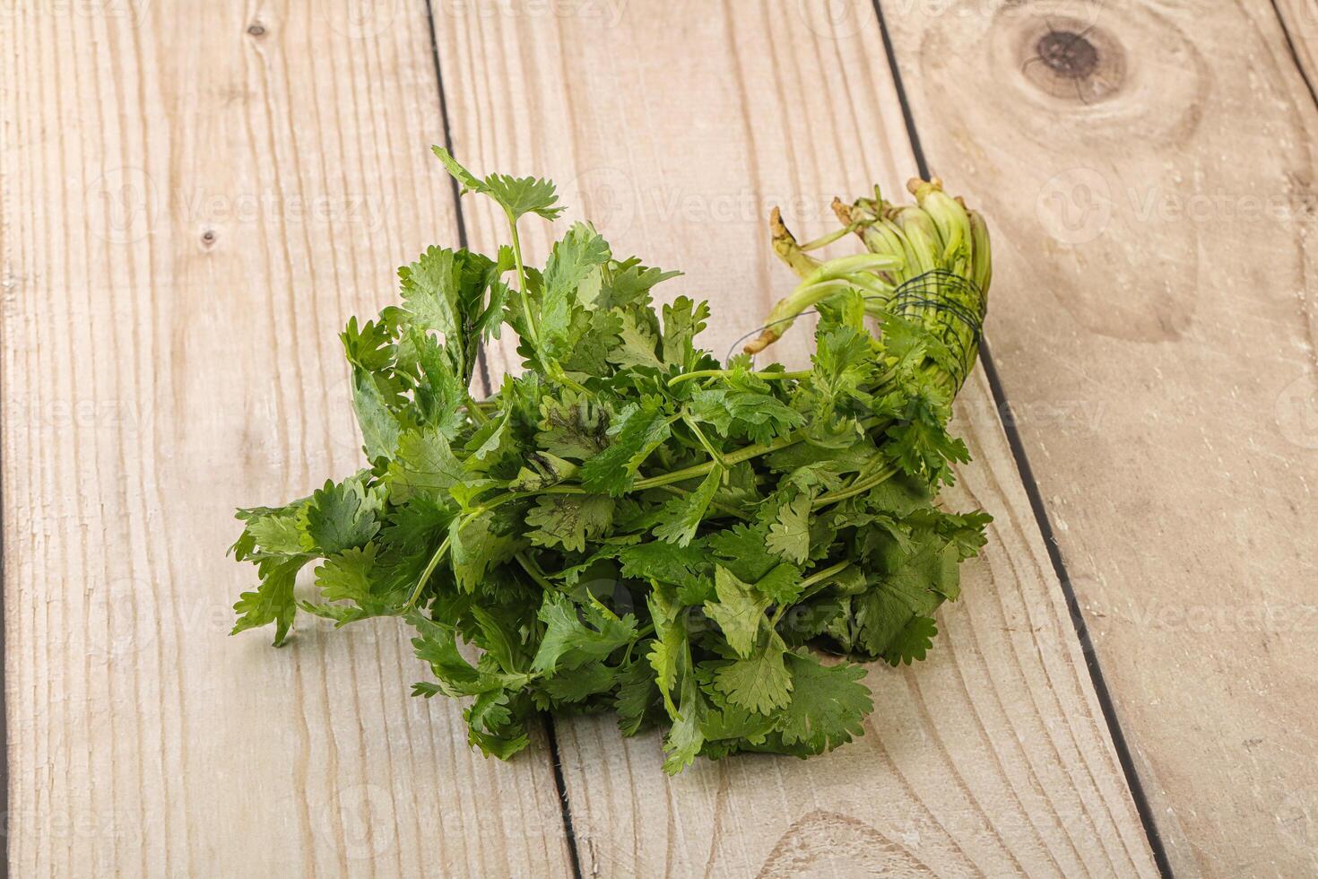 Green coriander leaves herb heap photo