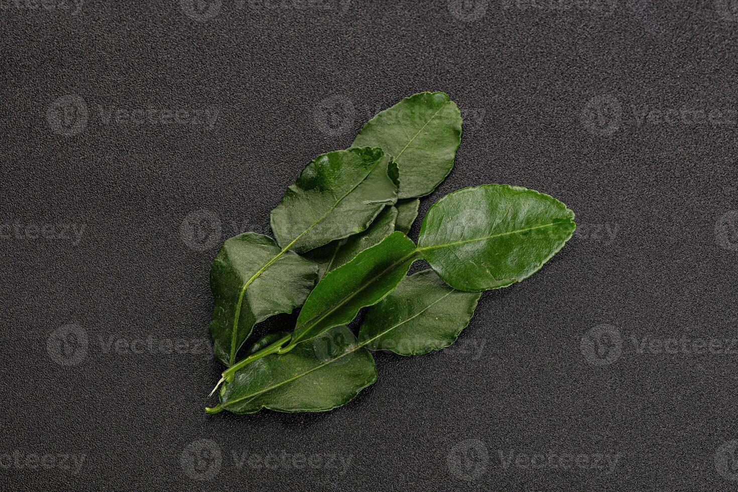 Aroma seasoning kaffir lime leaves photo