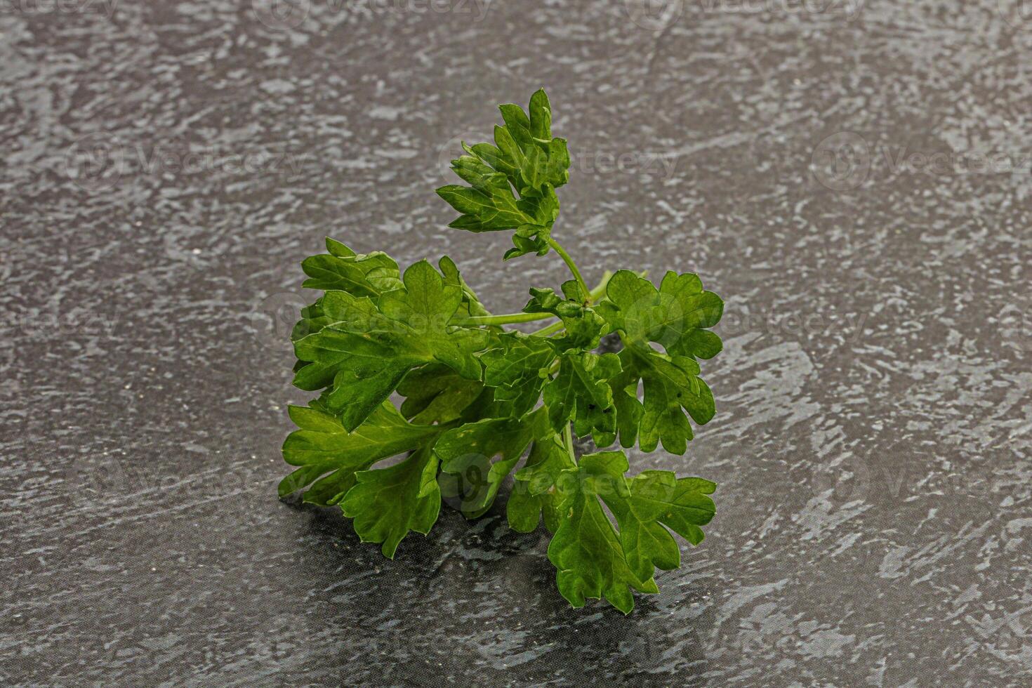 Green parsley leaves heap isolated photo