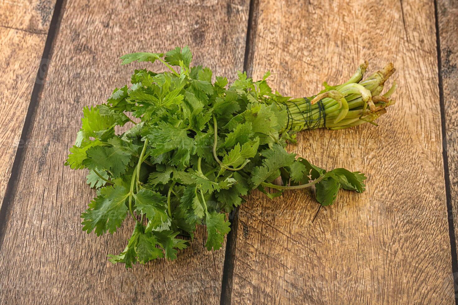 Green coriander leaves herb heap photo