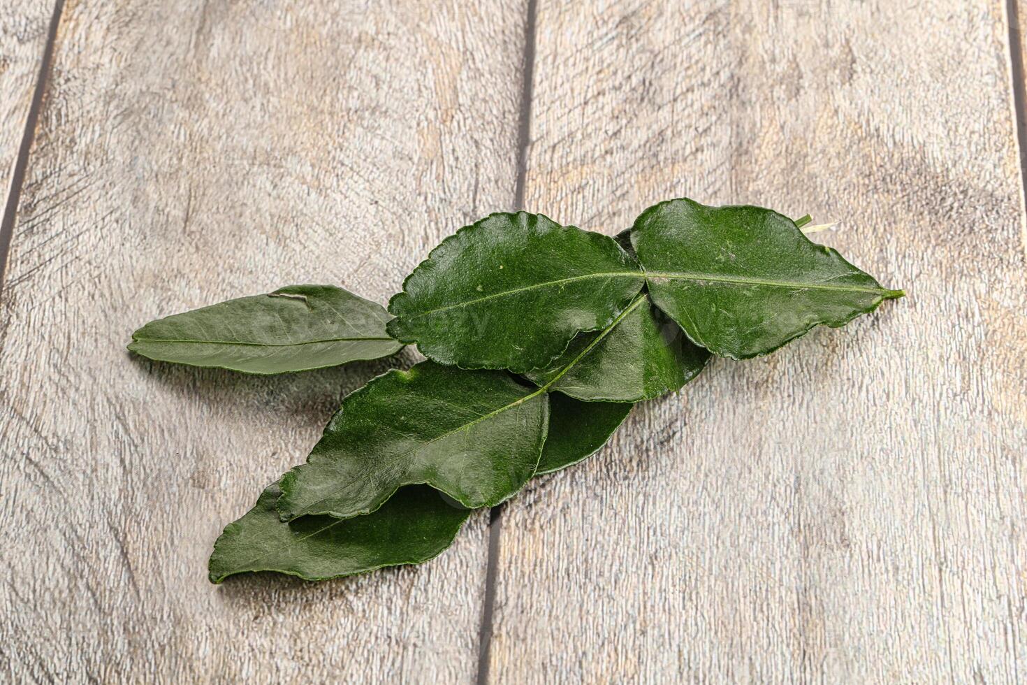 Aroma seasoning kaffir lime leaves photo