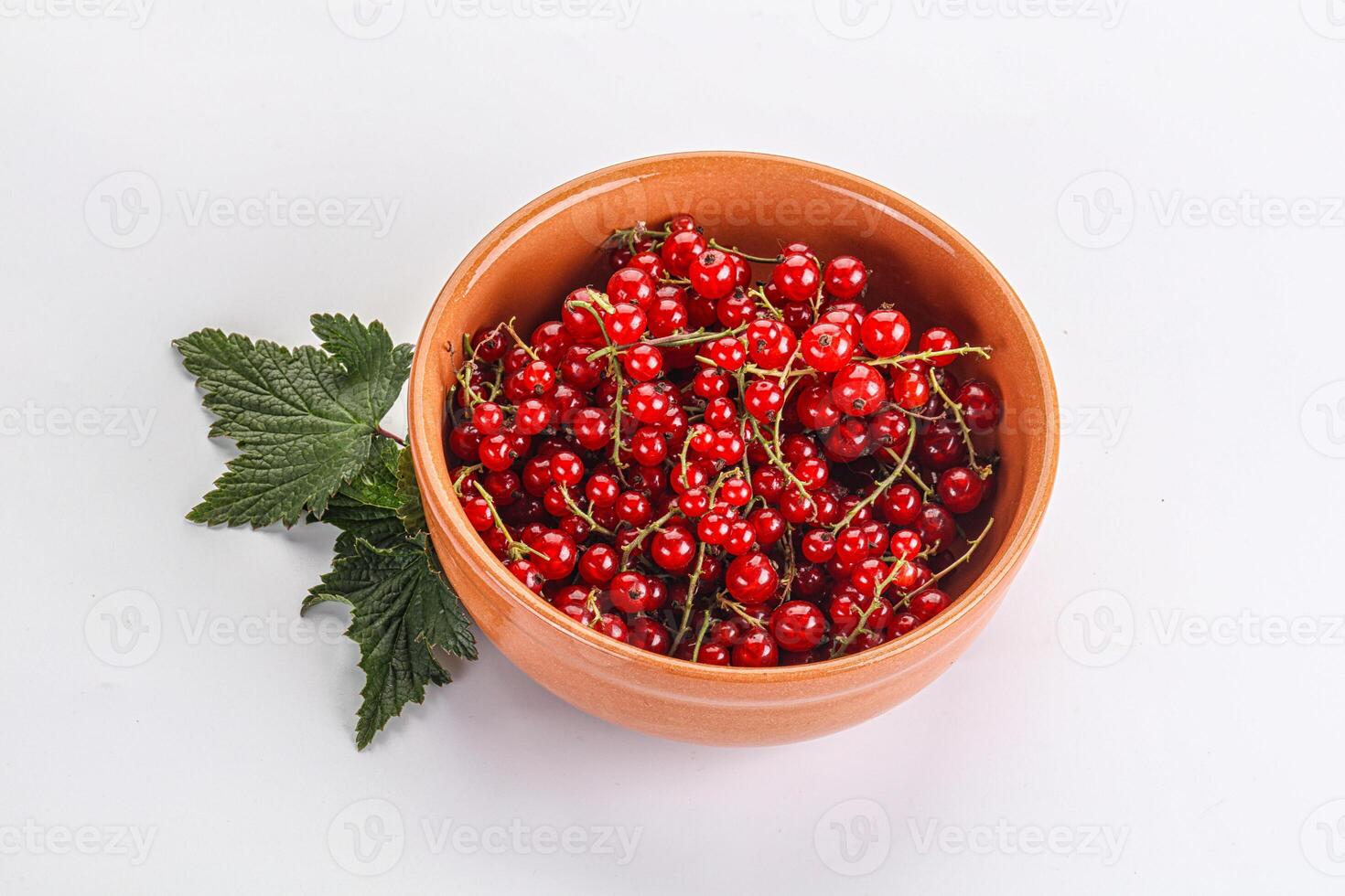 Sweet ripe red currant berries photo