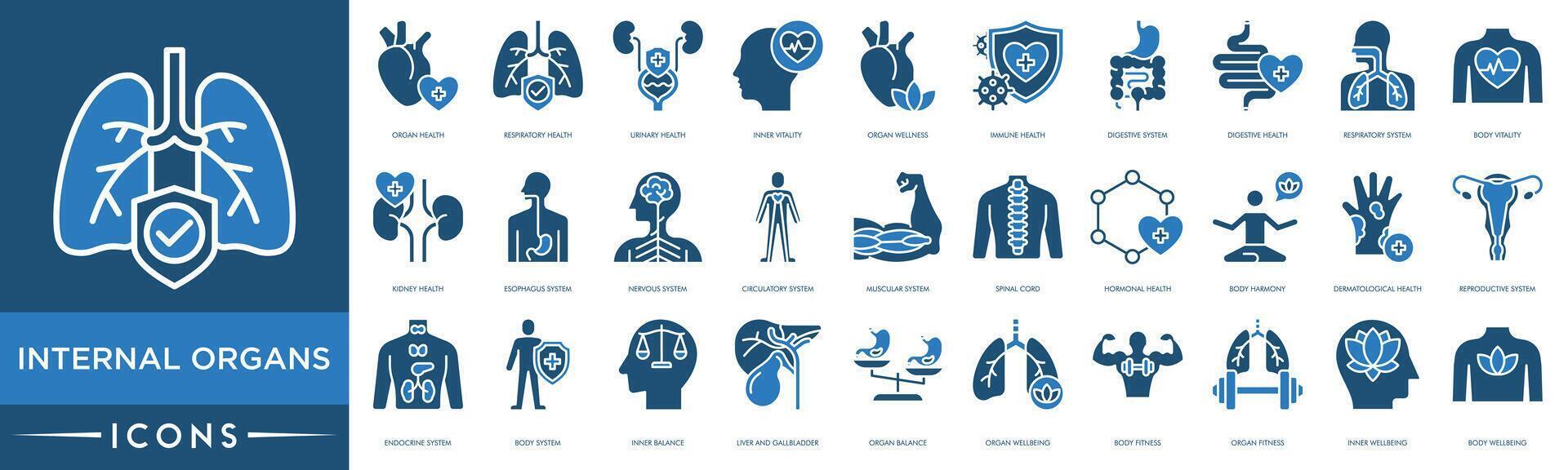 Internal Organs icon. Organ, Respiratory Health, Urinary Health, Inner Vitality, Organ Wellness, Immune Health, Digestive System, Digestive Health, Respiratory System, Body Vitality vector