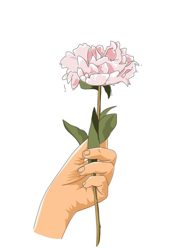 hand holding pink rose flower on white background vector