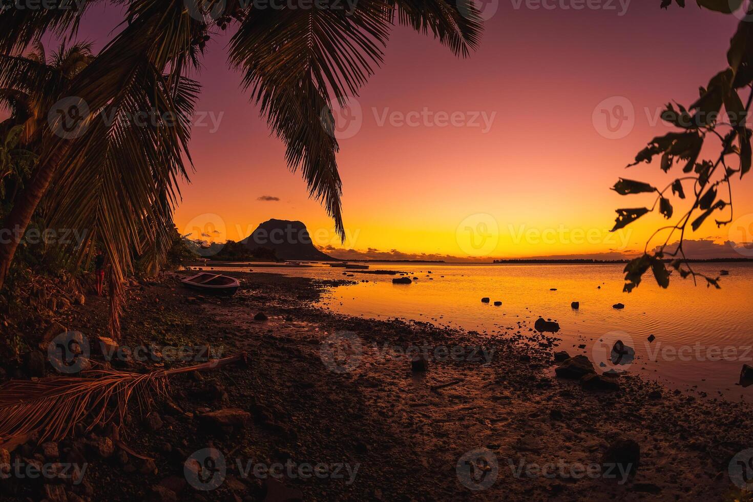 Coconut palm and low tide ocean at sunset time. Le Morn mountain on background photo