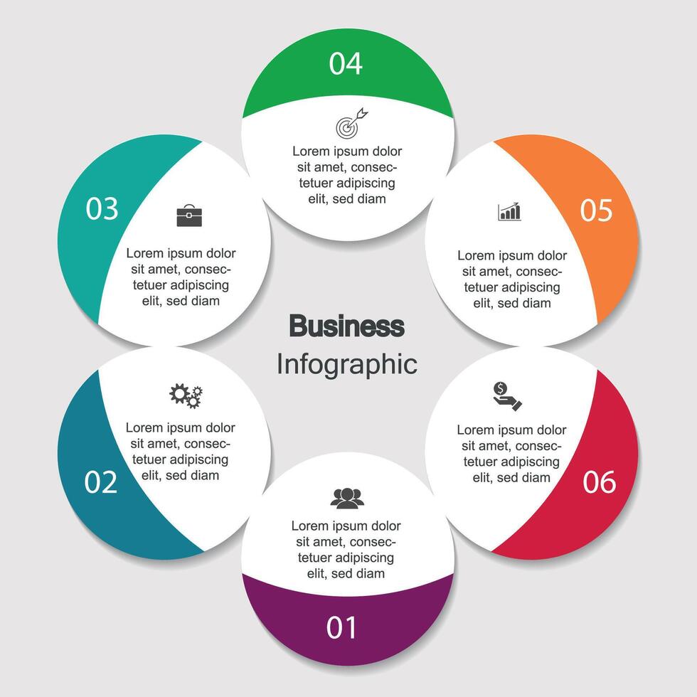 infographics, graphs. presentation. Business concept, chart, steps, process. Infographic data visualization. Startup template vector