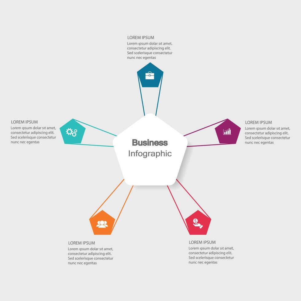 infographics, graphs. presentation. Business concept, chart, steps, process. Infographic data visualization. Startup template vector