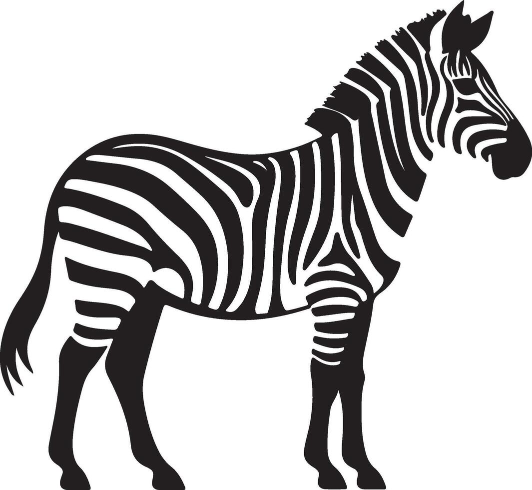 Zebra Silhouette Illustration White Background vector