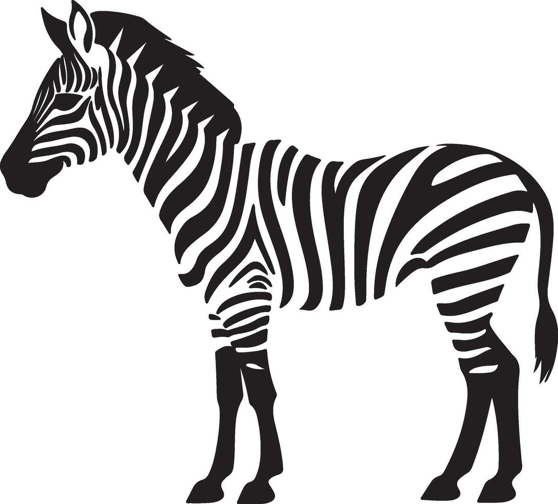 Zebra Silhouette Illustration White Background vector