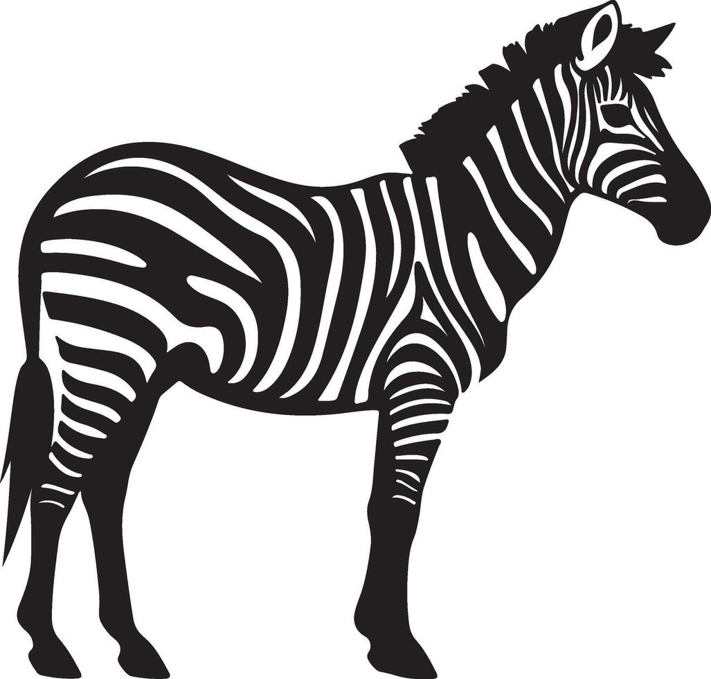 Zebra Silhouette Illustration White Background vector