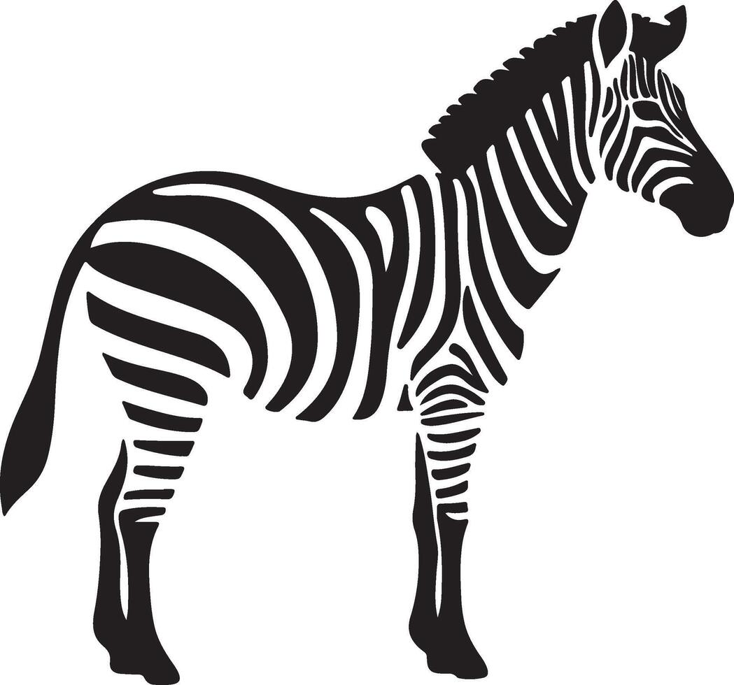 Zebra Silhouette Illustration White Background vector