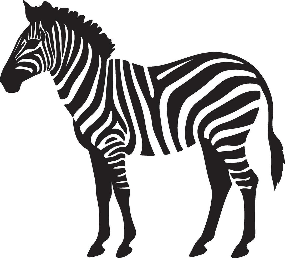 Zebra Silhouette Illustration White Background vector