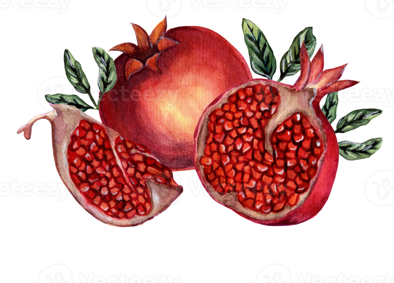 Fresh ripe pomegranate whole and cut into pieces with seeds and leaves. Watercolor pomegranate illustration isolated. Drawn by hand. png