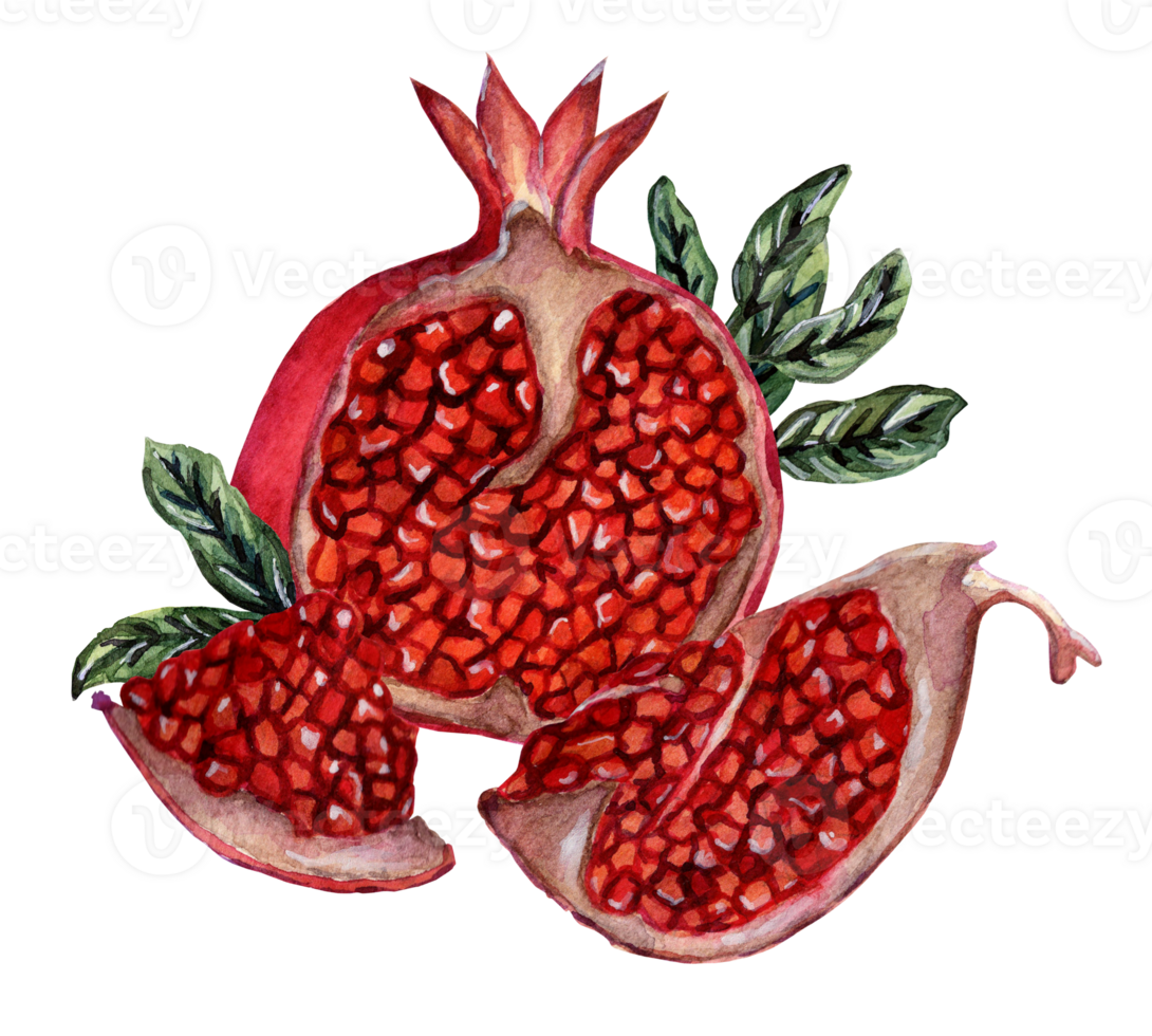 Fresh ripe pomegranate cut into pieces with seeds and leaves. Watercolor illustration of juicy pomegranate slices. Isolated. Drawn by hand. png