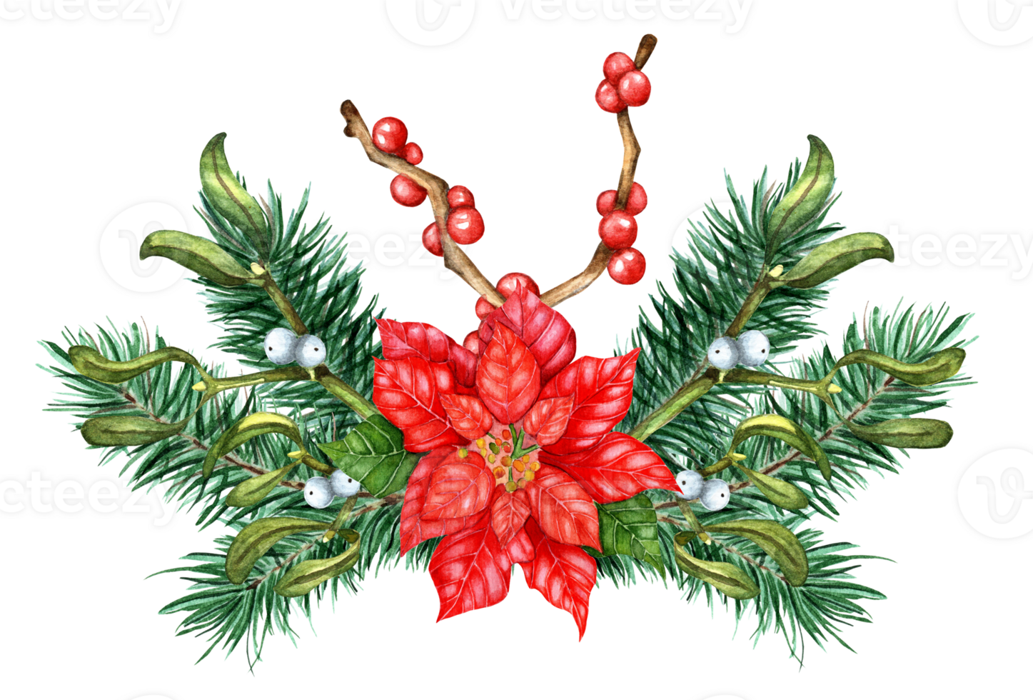 Christmas bouquet of fir branches, mistletoe, poinsettia, Holly, Ilex. Watercolor illustration of festive decor from branches of winter plants. Isolated. Drawn by hand. png