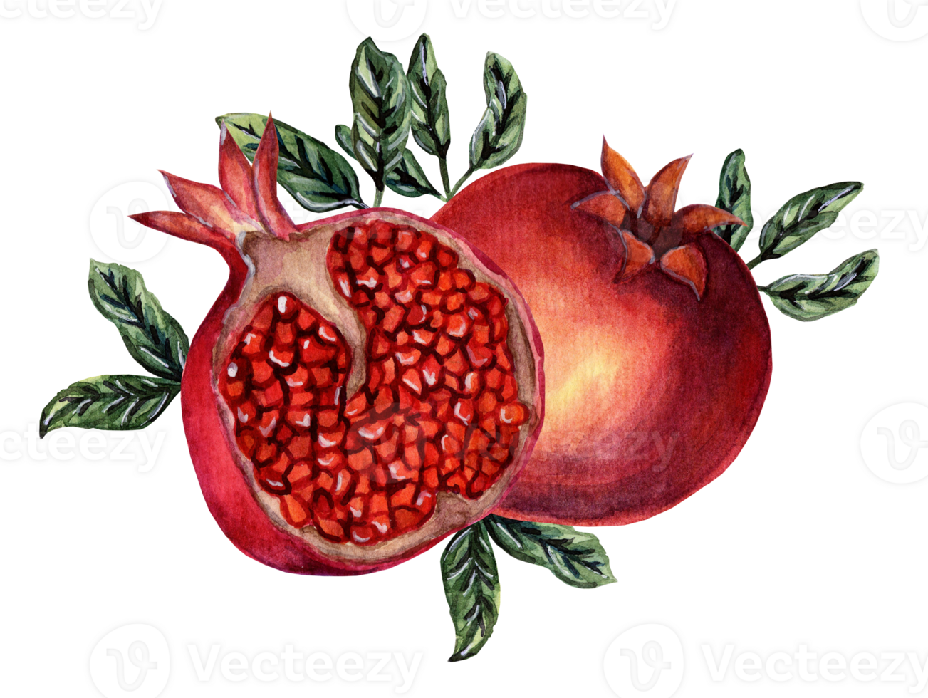 A whole Garnet and half a pomegranate. Watercolor illustration of ripe pomegranates with leaves, juicy pomegranate grains. Isolated. Drawn by hand. png