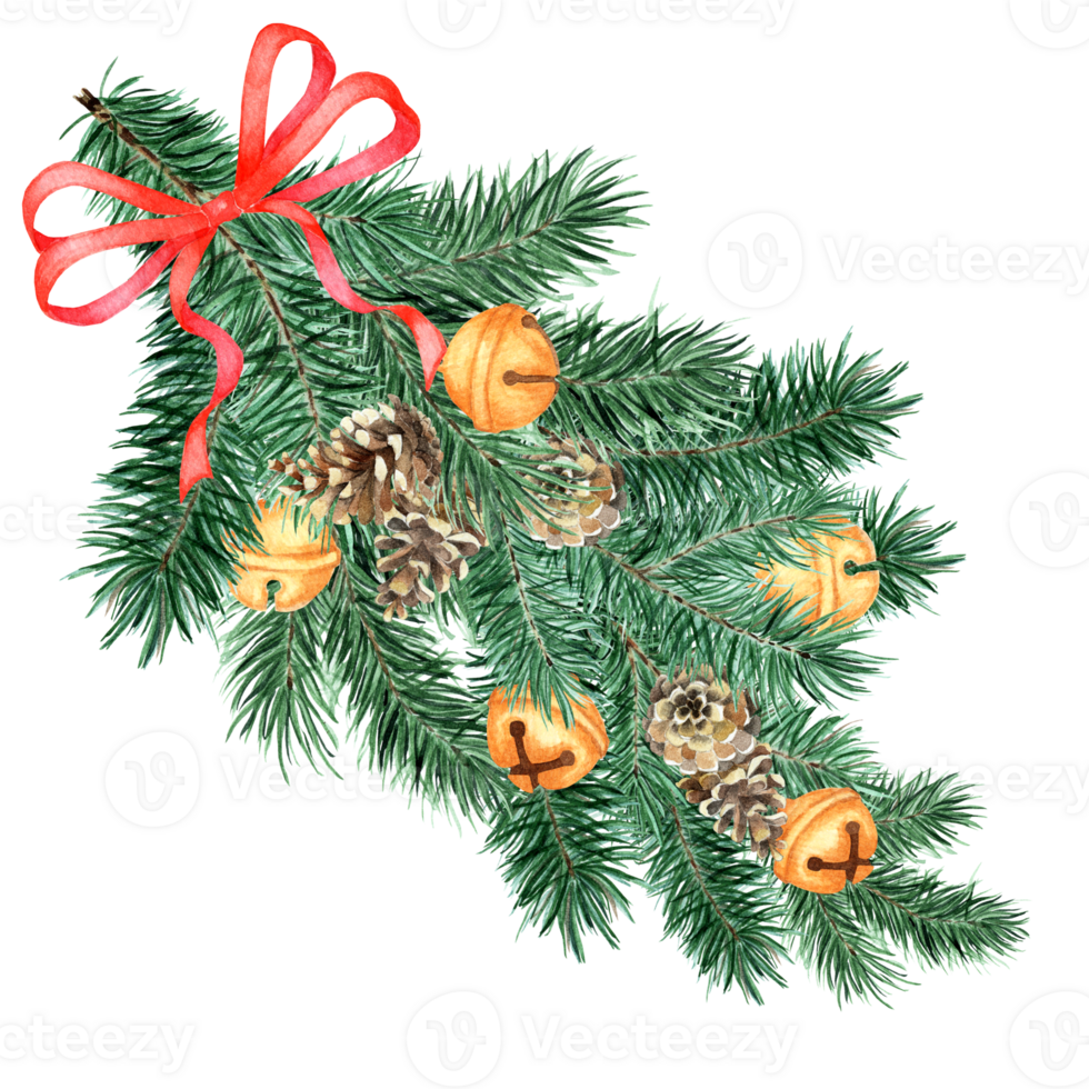 A large and fluffy branch of spruce, pine with decorations and a ribbon. Watercolor Christmas and New Year tree of coniferous branches and cones with bells. Christmas decorations. Isolated. Drawn png